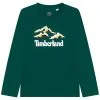 Timberland Boy's Mountain T Shirt