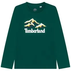 Timberland Boy's Mountain T Shirt