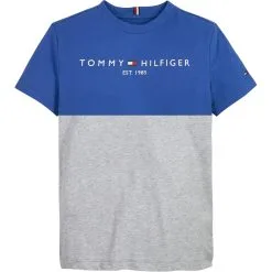 Tommy Hilfiger ESSENTIAL COLORBLOCK TEE S/S
